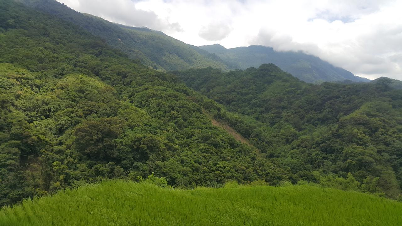 五葉松民宿-電梯民宿 近慈濟中小學及慈科大及人社院 เมืองฮวาเหลียน ภายนอก รูปภาพ